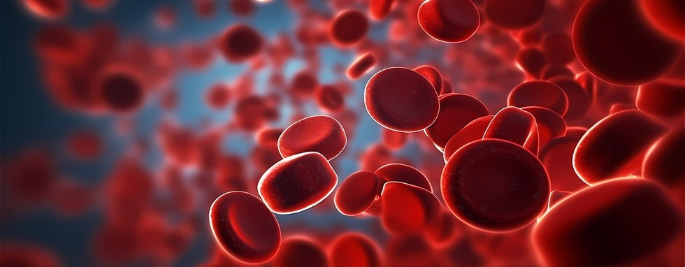 anemia czerwone krwinki