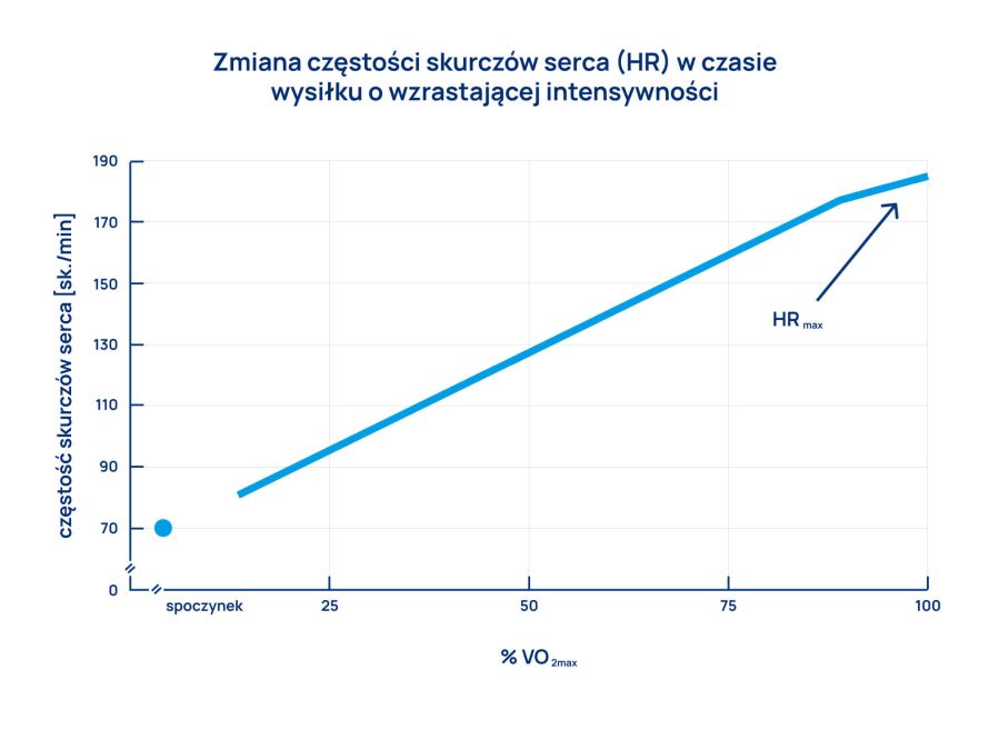 wpływ aktywności fizycznej na układ sercowo naczyniowy infografika 1