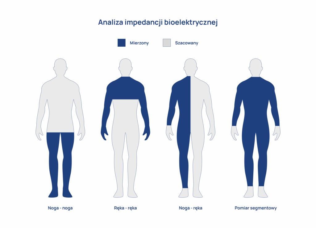 analiza_skladu_ciała_infografika_2