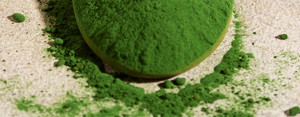spirulina - zielony proszek na łyżce
